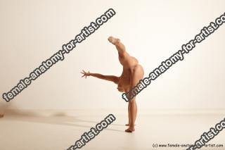 estera reference 038